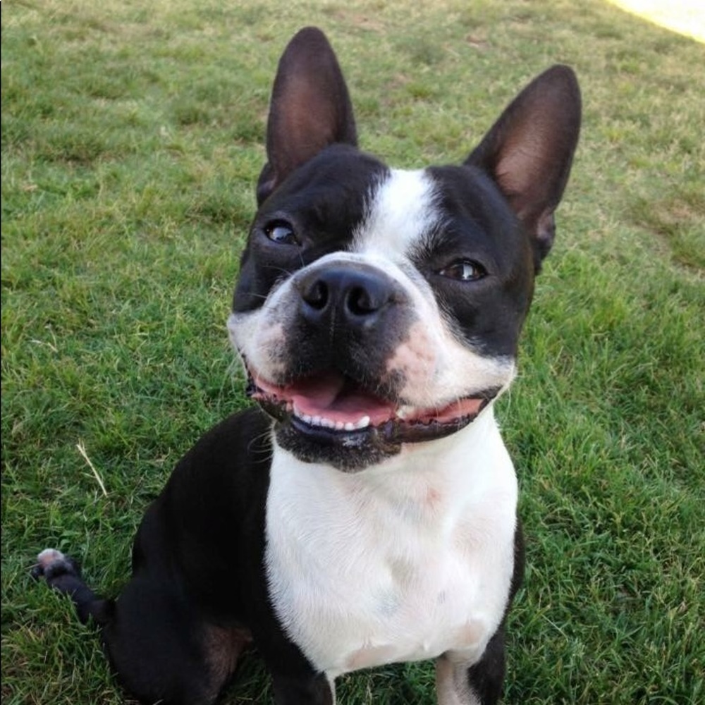 Meet your Posher, Kathy